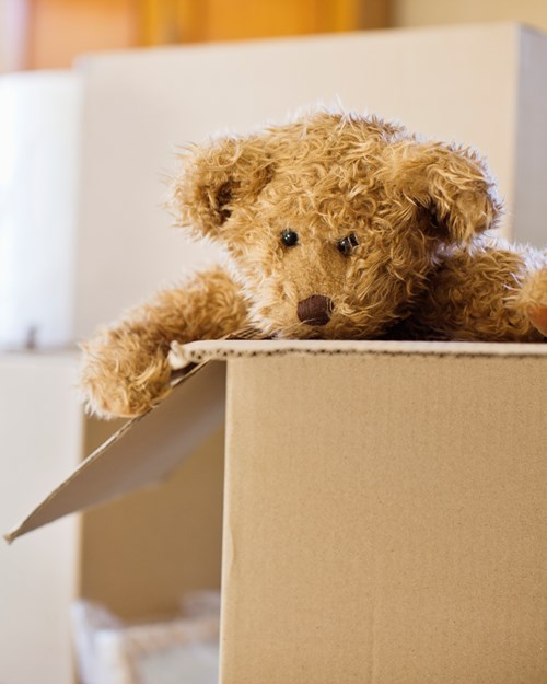 Close up of a teddy bear in a moving box