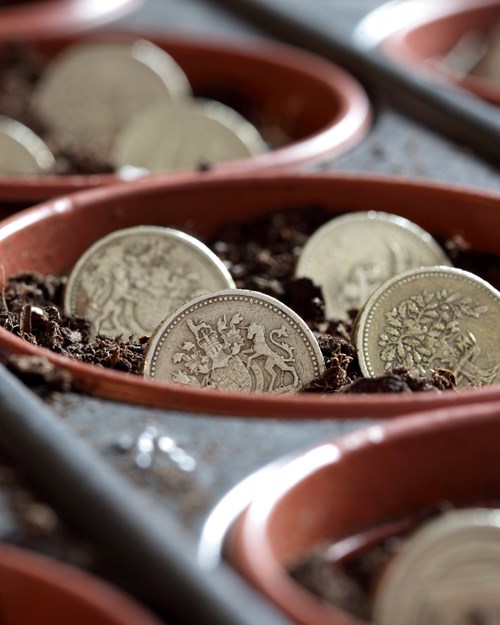 Pound coins in a plant pot