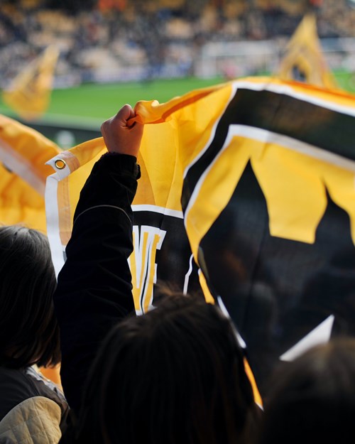 Fans holding flag at Wolves game