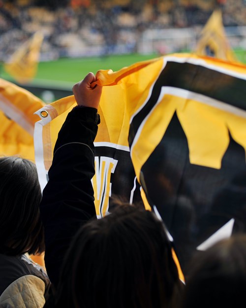Wolves crowd with a wolves flag